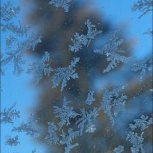 Meet your Posher, Lorene